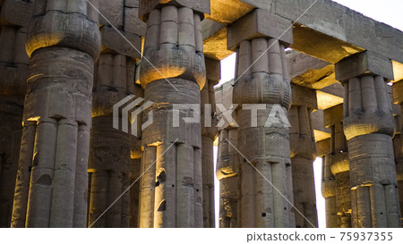 Karnak temple of Luxor architecture column detail close-up wiht uplight in evening 75937355