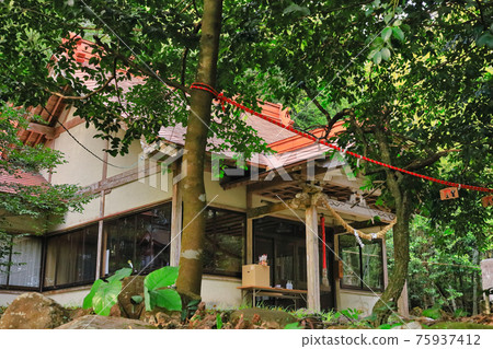 稻富神社（鹿兒島縣薩摩區薩摩町） 75937412