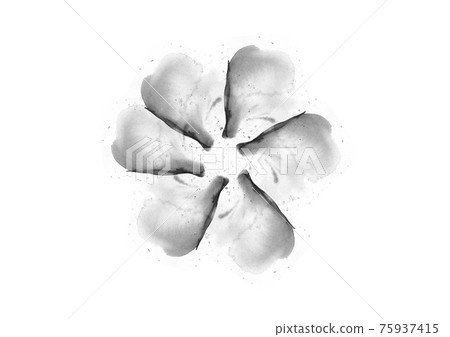 Black and white ink stains repeat in radiant to create flower patals illustration Black and white ink stains repeat in radiant to create flower patals illustration 75937415