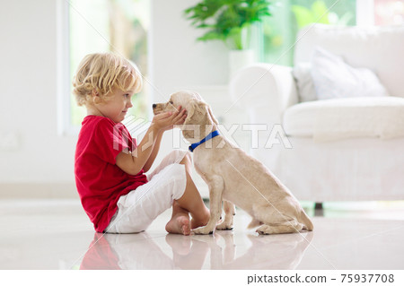 Child playing with dog. Kids play with puppy. Child playing with dog. Kids play with puppy. 75937708