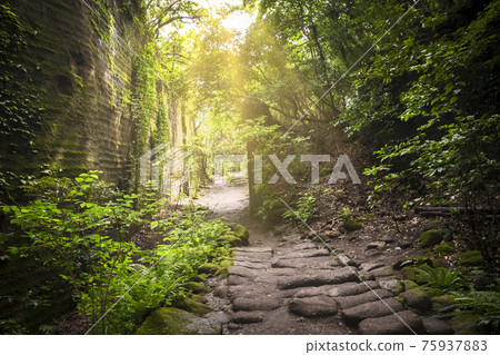 [Chiba / Mt. Nokogiri] A hiking trail that leaves a cross section of the remains of the quarry of Mt. Nokogiri leading to the Hell Peep Observatory. 75937883