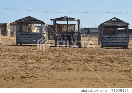 Old arbors on the beach Old arbors on the beach 75939161