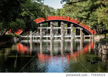 Taikobashi Bridge at the Sumiyoshi Grand Shrine in Osaka 75939325