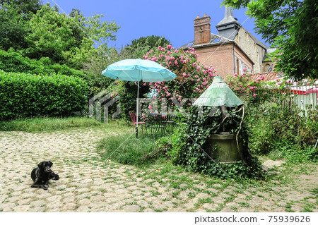 Dog on the cobblestones in the garden of Gerbrois Dog on the cobblestones in the garden of Gerbrois 75939626