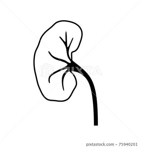 Kidney disease concept 75940201