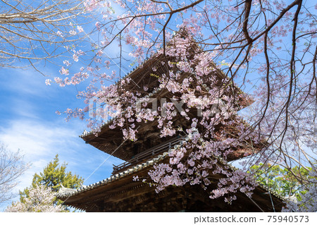 Dojoji Temple in Spring Dojoji Temple in Spring 75940573