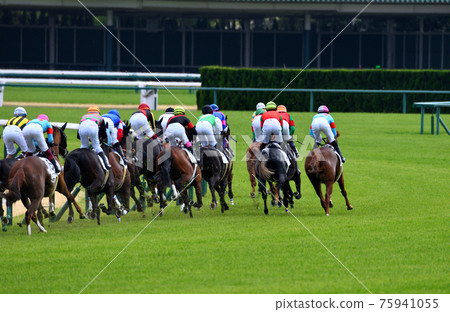 春天中京第一角 75941055