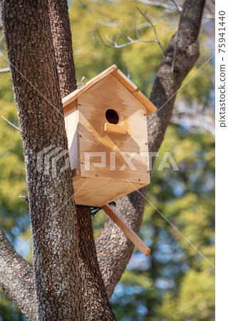 Wild bird observation birdhouse 75941440