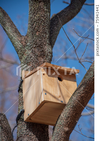 Wild bird observation birdhouse 75941441