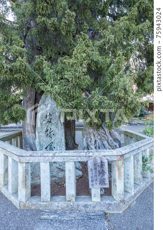 Anjinzuka (Dojoji Temple) Anjinzuka (Dojoji Temple) 75943024