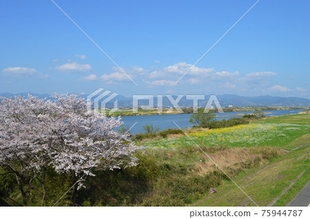 築後川的四季 / GOTO Travel 九州福岡縣觀光景點 築後川的四季 / GOTO Travel 九州福岡縣觀光景點 75944787
