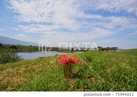 築後川的四季 / GOTO Travel 九州福岡縣觀光景點 75944811