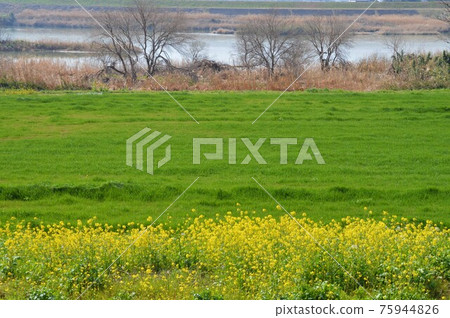 築後川的四季 / GOTO Travel 九州福岡縣觀光景點 75944826