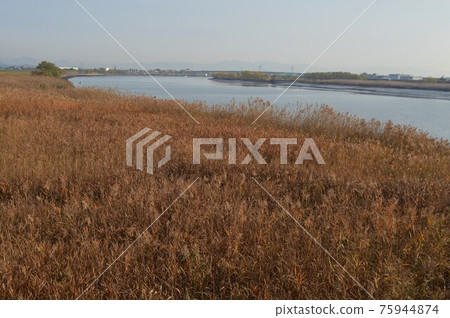 Chikugo River's Four Seasons / GOTO Travel Kyushu Fukuoka Prefecture Sightseeing Spots Chikugo River's Four Seasons / GOTO Travel Kyushu Fukuoka Prefecture Sightseeing Spots 75944874