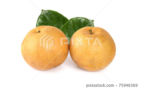 Snow pear or Korea pear fresh fruit with slices isolated on white background Snow pear or Korea pear fresh fruit with slices isolated on white background 75946369