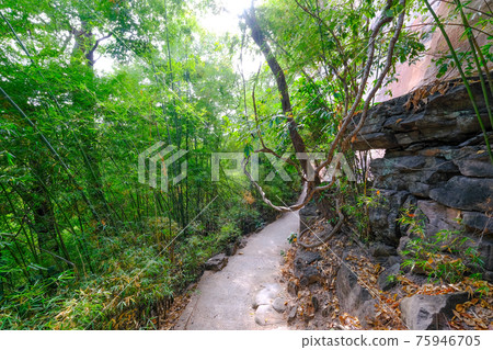 泰國東北部 Pha Taem 的徒步路線 75946705