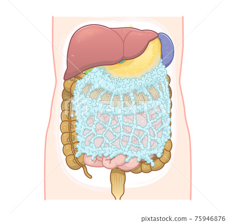 肝、胃、大腸、大網膜的插圖 75946876