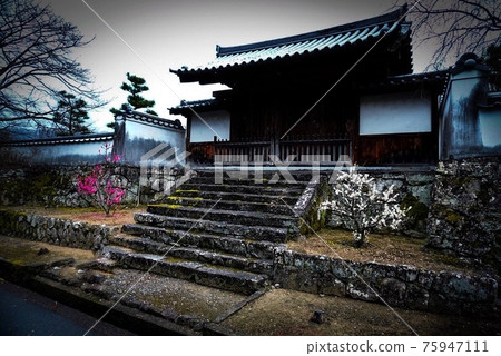 Temple gate and plum Temple gate and plum 75947111