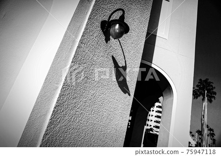 拍一張酒店路燈的照片，後面有一棵棕櫚樹，黑白相間 75947118