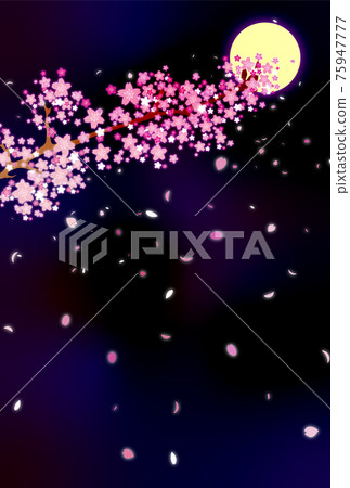 月光下櫻花飛舞的風景豎版 月光下櫻花飛舞的風景豎版 75947777