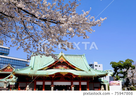 【東京】神田明神的櫻花（春季） 75947808