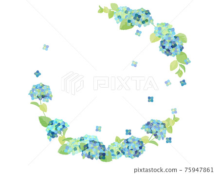 Hydrangea frame - Stock Illustration [75947861] - PIXTA