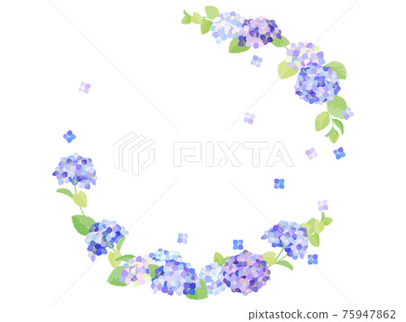 Hydrangea frame Hydrangea frame 75947862