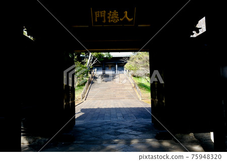 【東京】湯島聖堂(春季) 【東京】湯島聖堂(春季) 75948320
