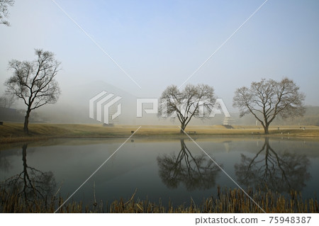 國寶第11號益山彌勒寺寺石塔 國寶第11號益山彌勒寺寺石塔 75948387