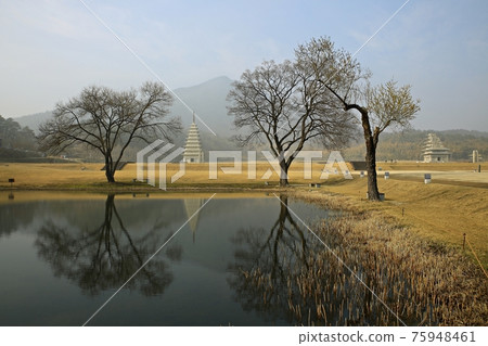 National Treasure No. 11, Iksan Mireuksaji Stone Pagoda 75948461