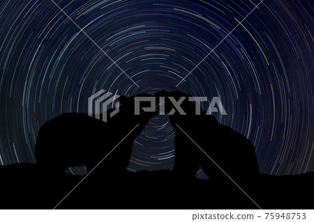 Two bear at night with startrail in the background 75948753