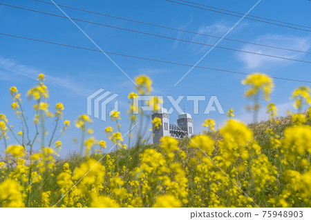 拍攝京都伏見區的三蘇小門 75948903