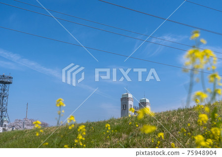 拍攝京都伏見區的三蘇小門 75948904