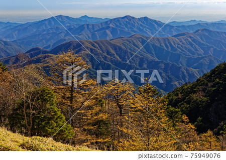 從大佛佐嶺/石丸山口看到的奧多摩三山 從大佛佐嶺/石丸山口看到的奧多摩三山 75949076