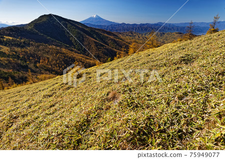 Daibosatsu Ridge和Ishimaru Pass以及小金澤山和富士山的草原景觀 Daibosatsu Ridge和Ishimaru Pass以及小金澤山和富士山的草原景觀 75949077