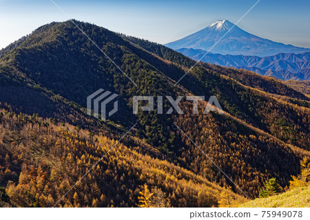 從Ogura renshu和Ishimaru Pass看到的很多小錢和富士山 75949078