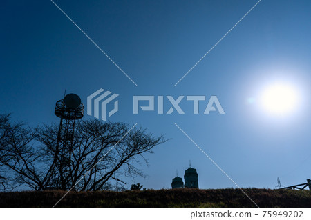 Photographed Misukomon in Fushimi-ku, Kyoto 75949202