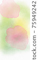 Cherry Blossoms	 75949242