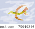 airplane  75949246