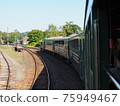 Dolly heading to Kushiro Wetland 75949467
