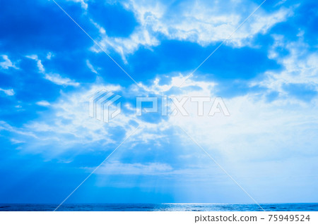 天使梯子暮光之城 75949524