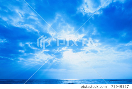 天使梯子暮光之城 75949527