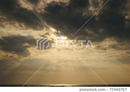 天使梯子暮光之城 75949767