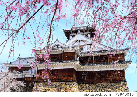 福知山城【續日本城百強】 75949816