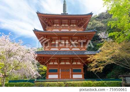 福岡縣三山市清水寺三重寶塔 75950061