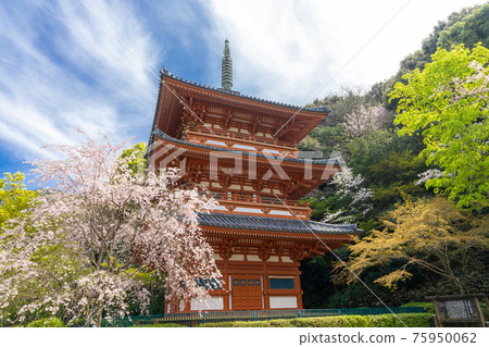 福岡縣三山市清水寺三重寶塔 75950062