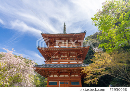 福岡縣三山市清水寺三重寶塔 福岡縣三山市清水寺三重寶塔 75950068