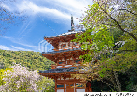 Kiyomizudera Mie Pagoda, Miyama City, Fukuoka Prefecture Kiyomizudera Mie Pagoda, Miyama City, Fukuoka Prefecture 75950070
