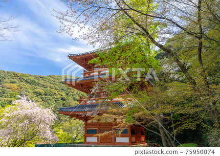 Kiyomizudera Mie Pagoda, Miyama City, Fukuoka Prefecture 75950074