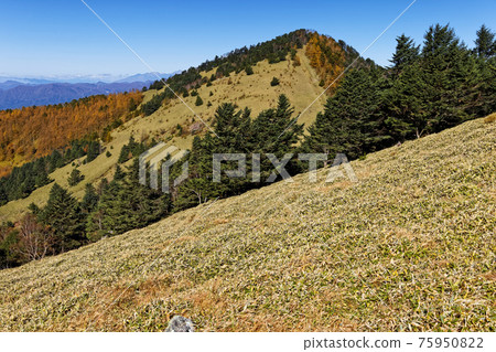 A distant view of Mt. Kumazawa and Mt. Yatsugatake seen from Mt. A distant view of Mt. Kumazawa and Mt. Yatsugatake seen from Mt. 75950822